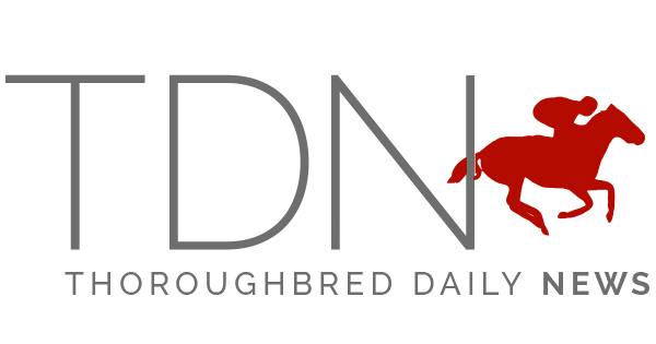 logo tdn