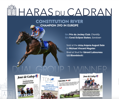 Constitution